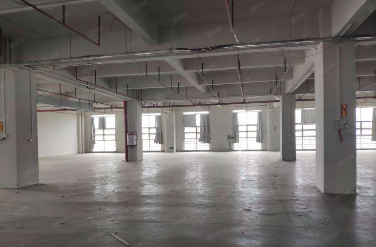 可分租！厚街欧式风格厂房花园式新建厂房每层6000平厂房出租