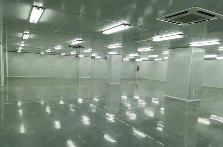 厚街低价无尘车间1300平厂房出租，全部精装修，豪华办公室