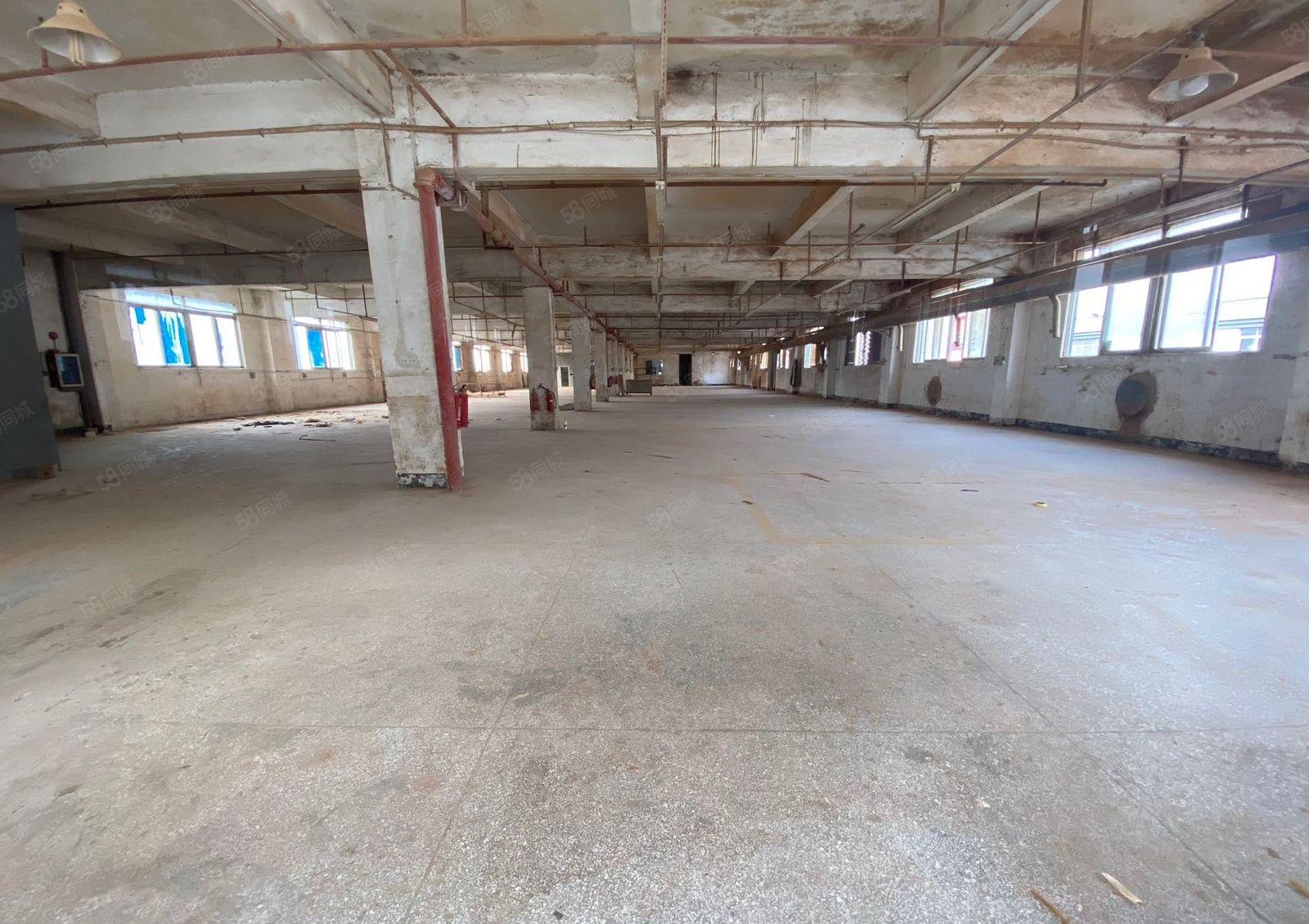 厚街镇溪头村独门独院有环评