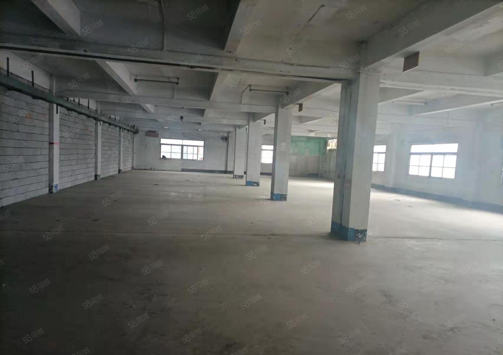 厚街新塘带豪华精装修办公室1650平水电齐全厂房出租仓库出租