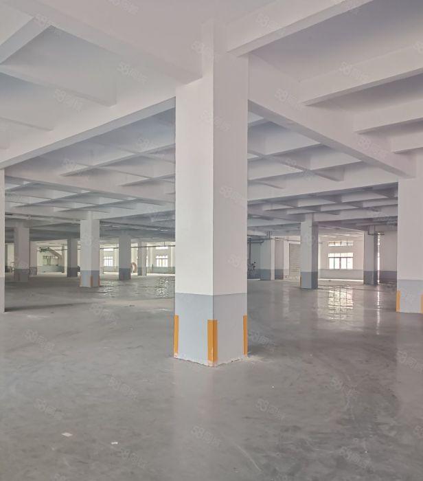 出租厚街形象好的单一层独院厂房，全新精装修车间，空地大好停车