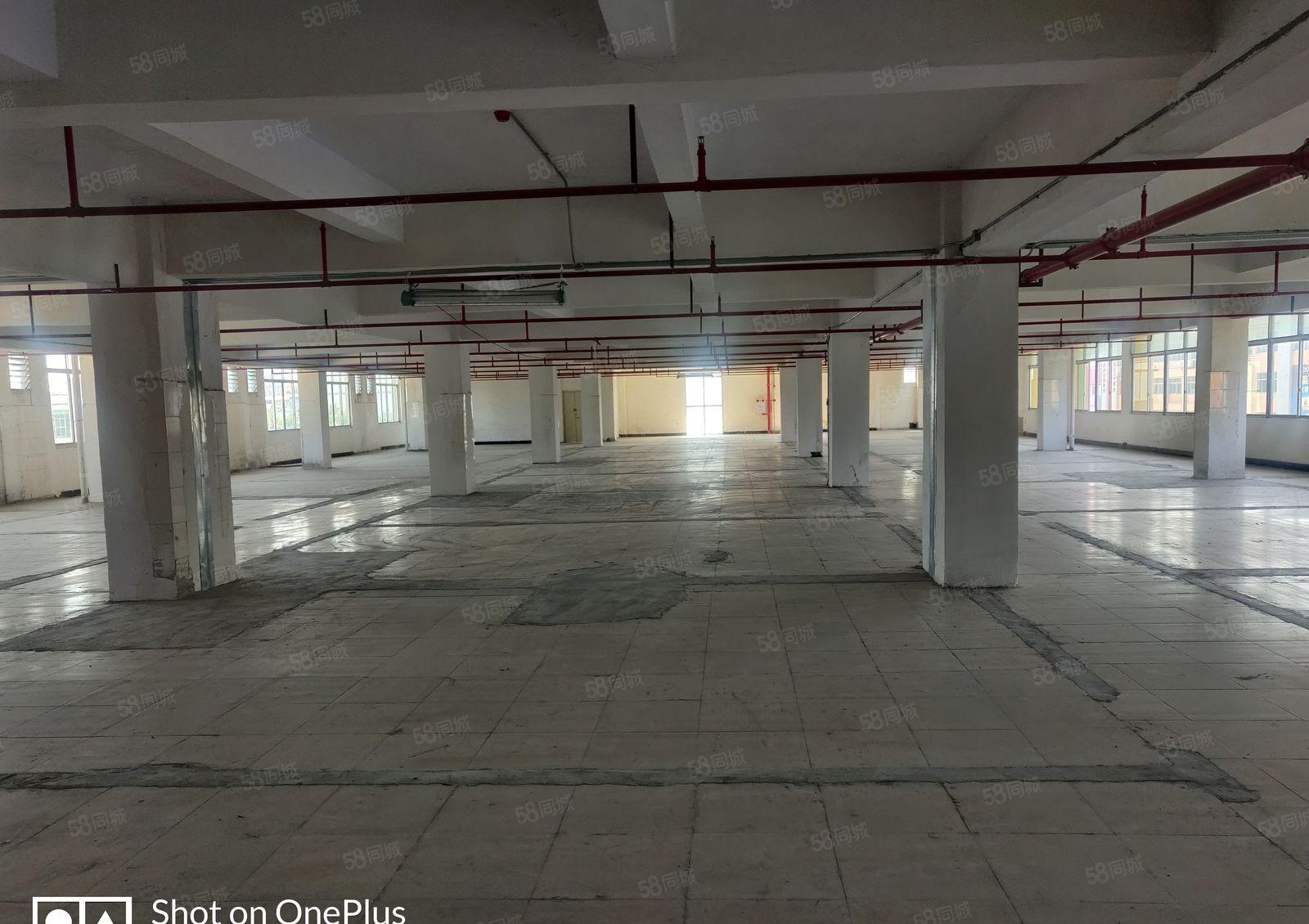 沙塘新空出1600平厂房园区空地大停车位充足能进大车