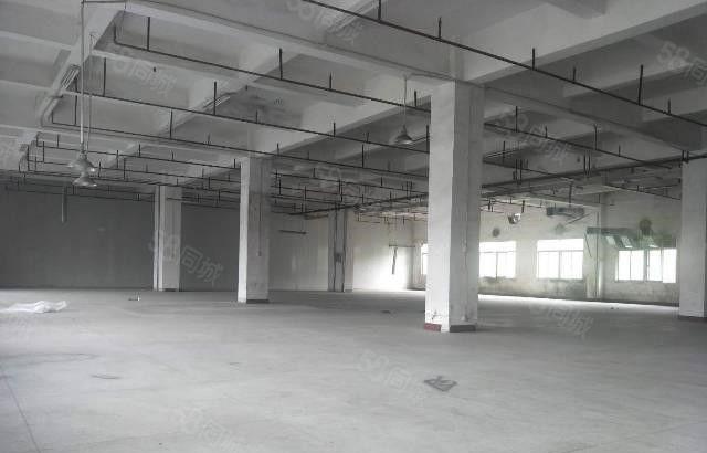 原房东独院三层5800平方厂房 可分租 价格实在消防齐全