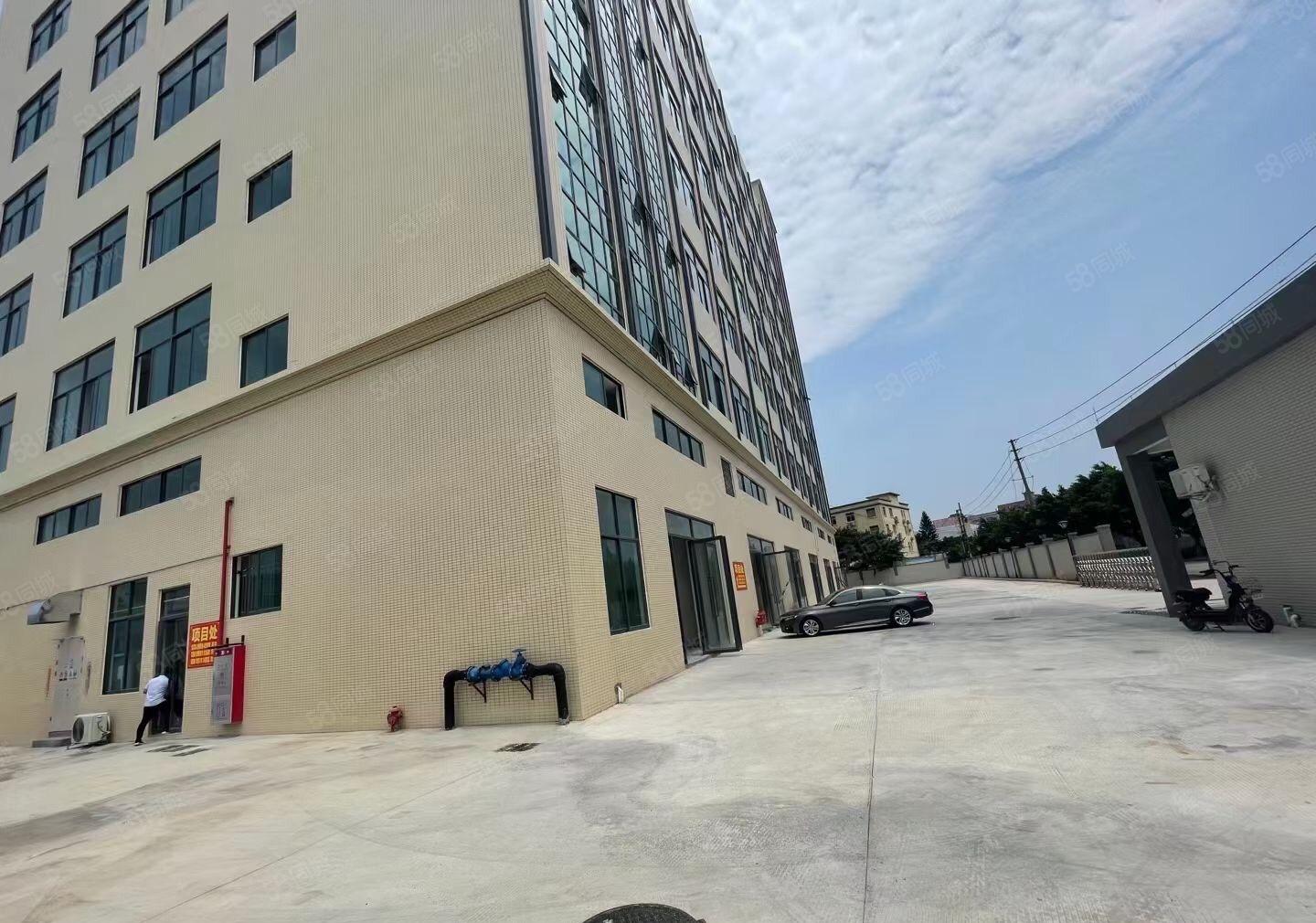 厚街新建厂房单层2800平方，一楼7米带牛角