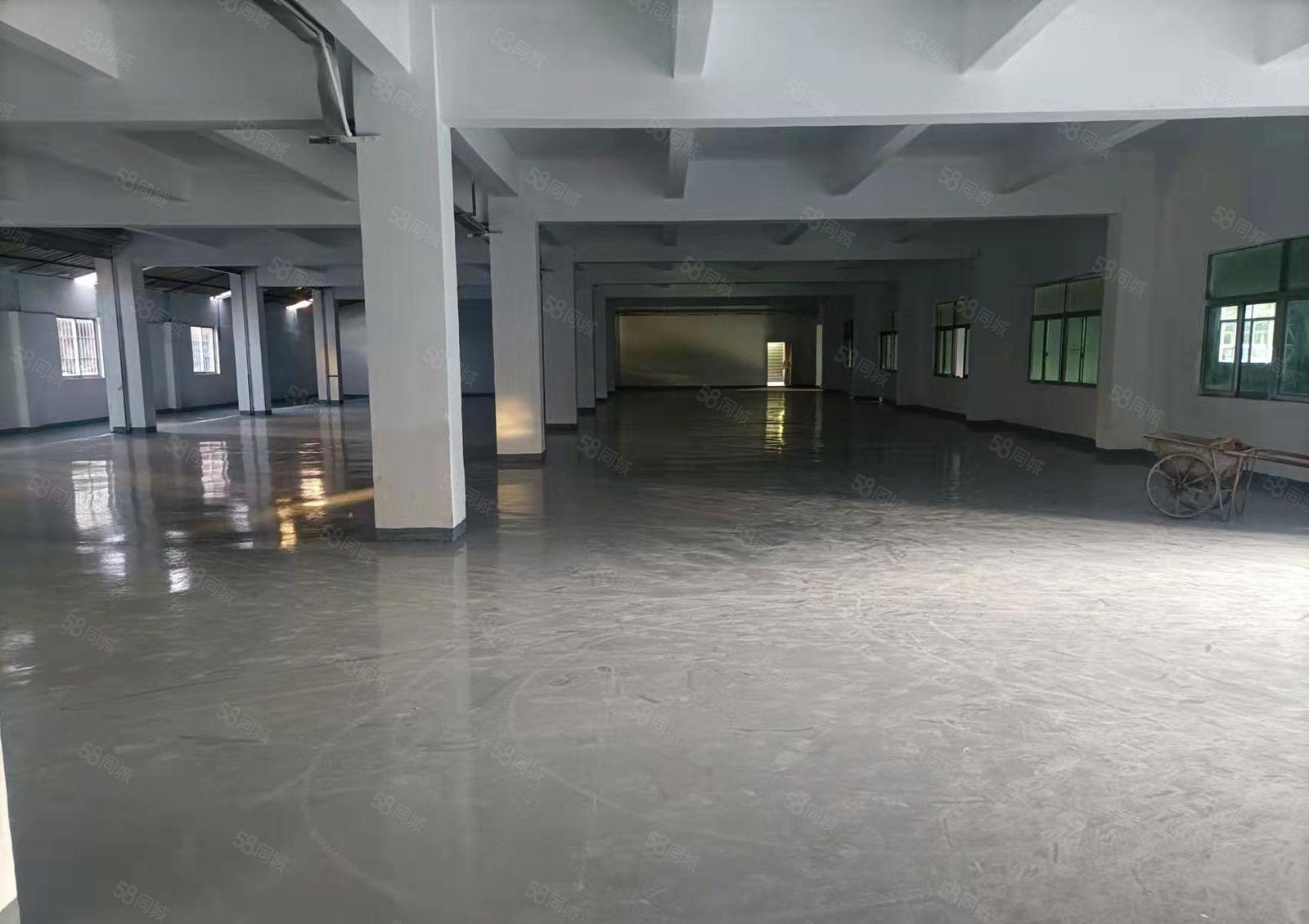 厚街中心地带新出工业用地标准一楼1650平现成装修可办环评