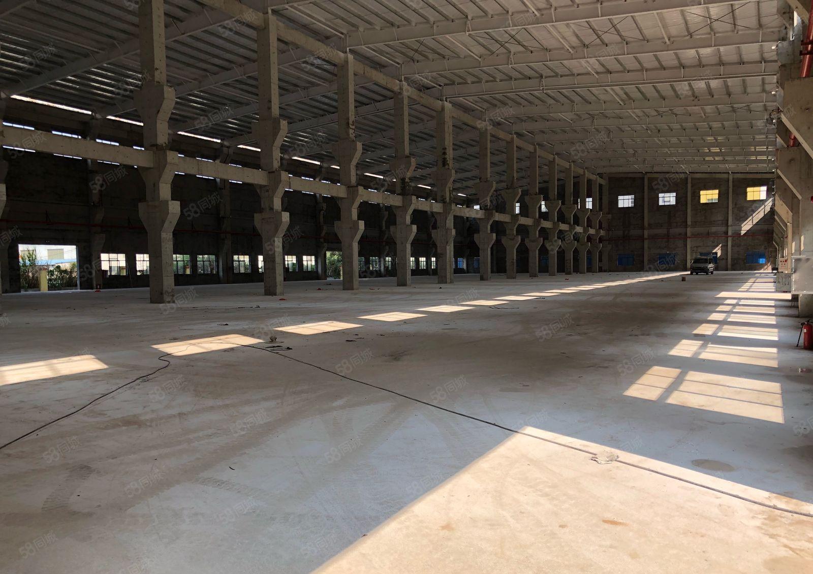 厚街镇桥头社区新出全新钢构9800平米招租