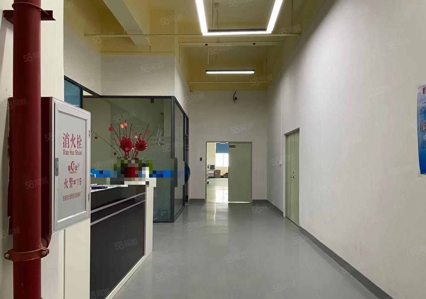 厚街现成装修1500平厂房出租，直接拎包生产！