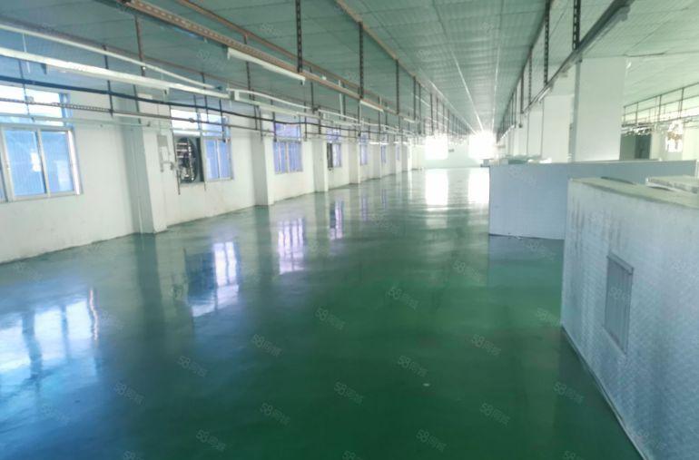 原房东厚街低价厂房一整层1800平方，精装修水电齐全