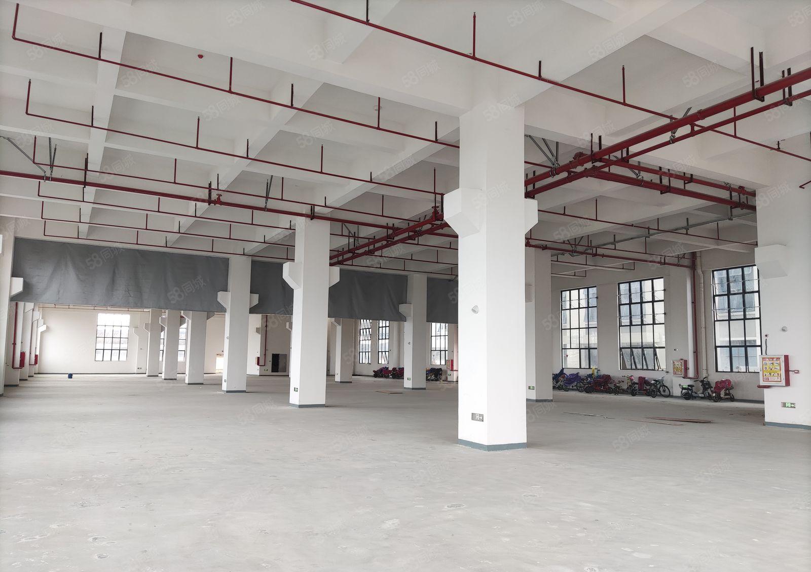 厂房出租  厚街新出带喷油环评厂房，适合各种行业，房东够实力