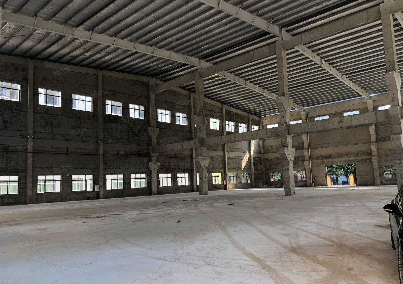 厚街镇桥头社区新出全新钢构9800平米招租