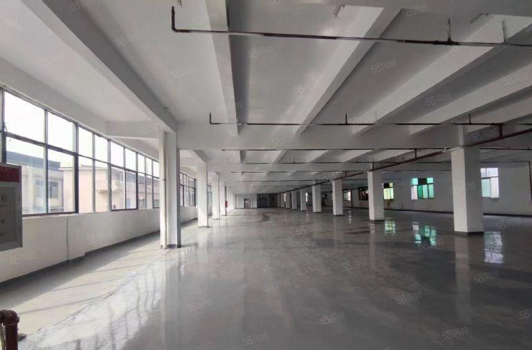 厚街镇原房东独门独院，标准厂房出租，大小可以分租