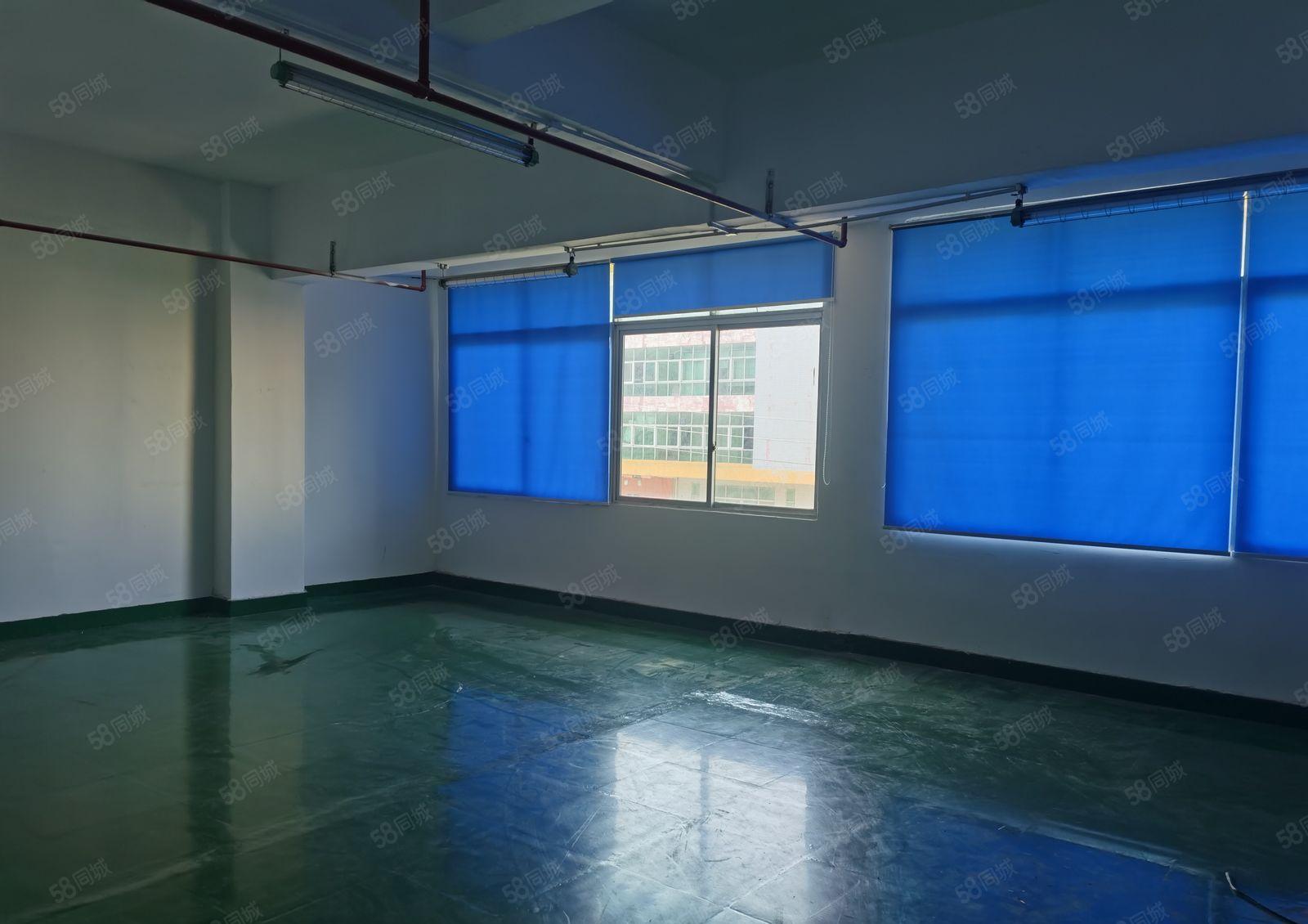 厚街精装修全新地坪漆办公室消防喷淋