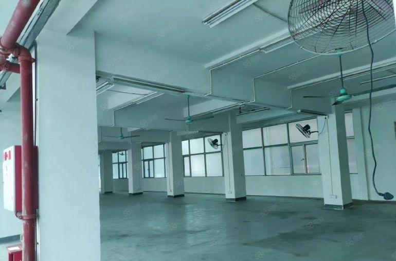 厚街镇新出1300平标准厂房独门独院出租，7米高，水电全