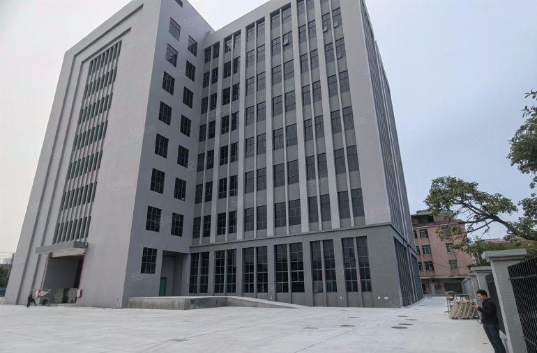 厚街全新高端厂房 3500 每层，两部客梯两部五吨货梯