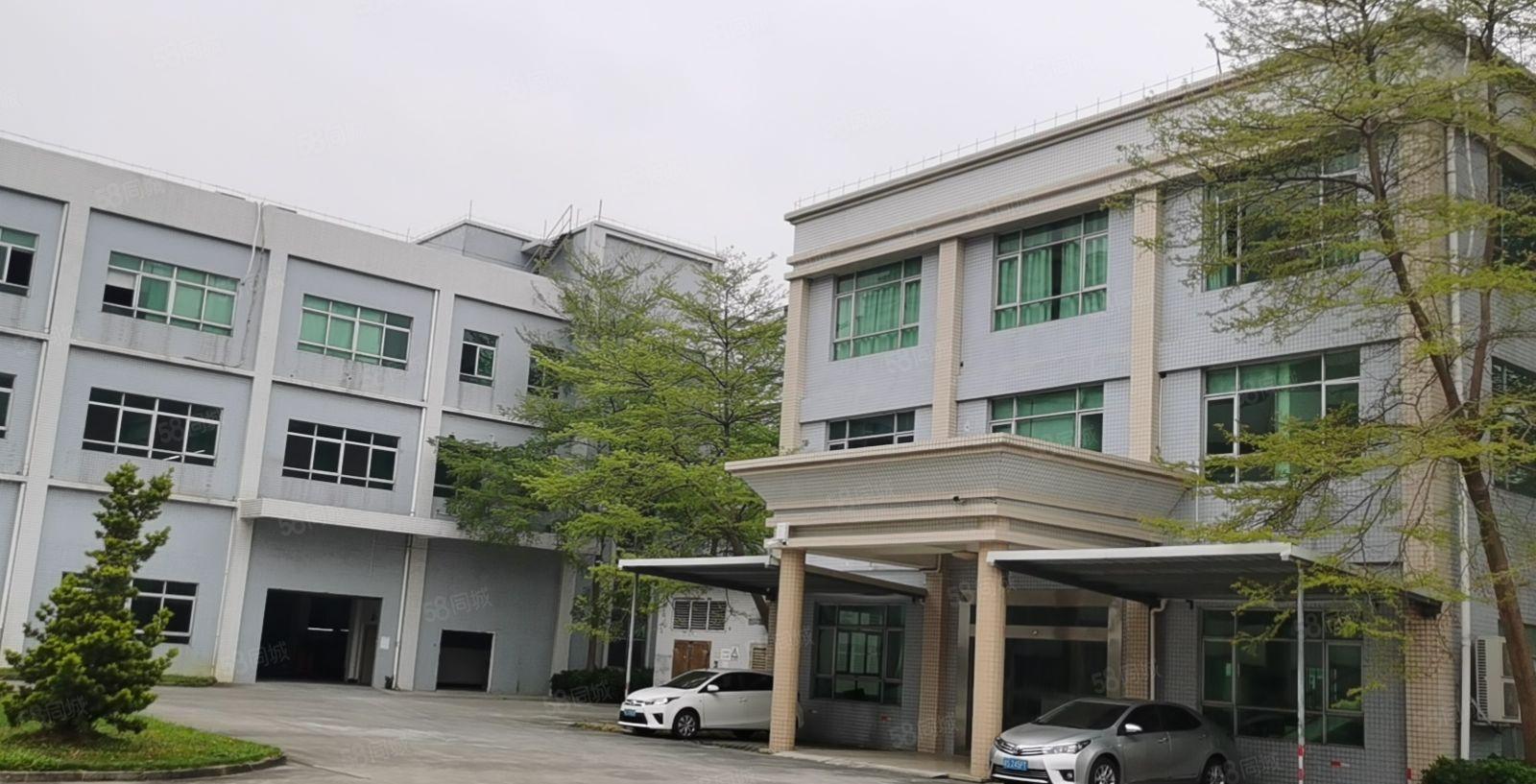 （独门独院）厚街原房东独门独院4000平实际面积出租