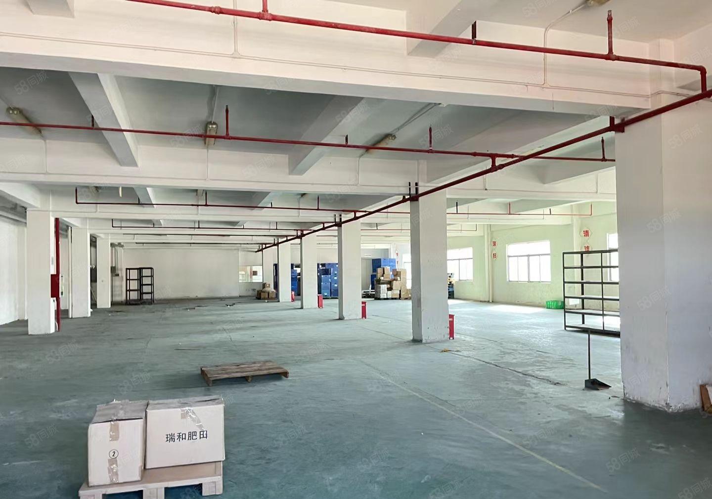 厚街独院五金注塑环评厂房5200方可分租