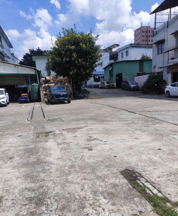 厚街镇新出1000平方标准厂房可办环评有喷淋好招工