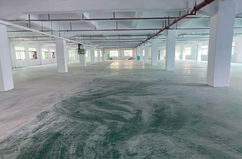 厚街镇西环路2700平大小可分租易招工独门独院交通方便原房东