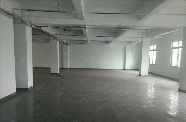 厚街双岗家具大道边上新出楼上低价厂房700平水电齐全厂房出租