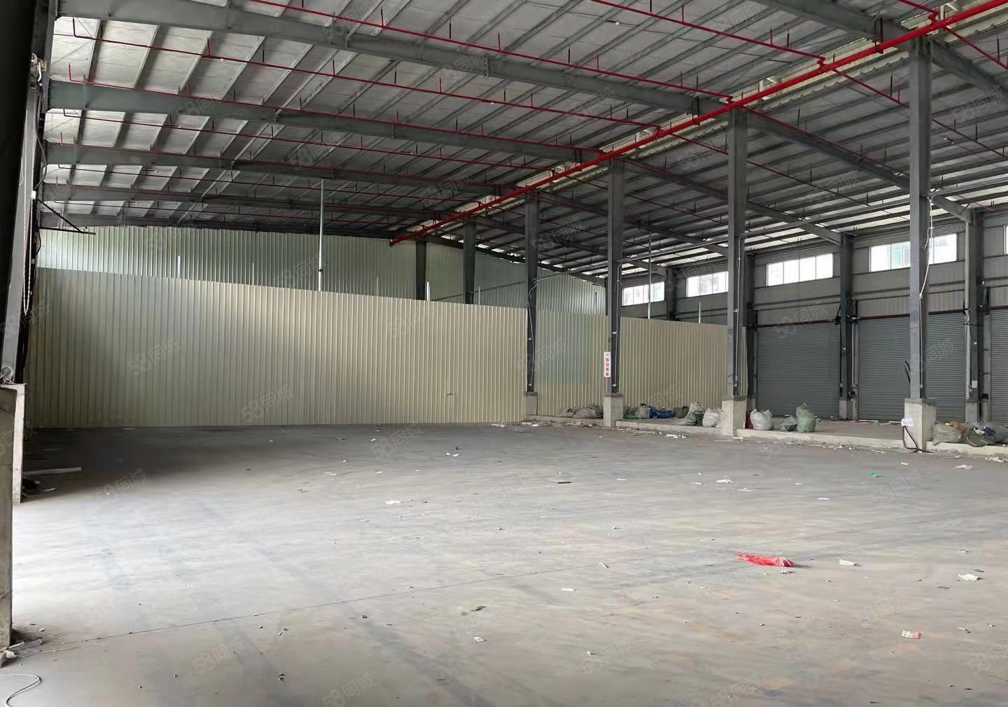 厚街新出单一层钢构厂房2600平方出租，高度12米