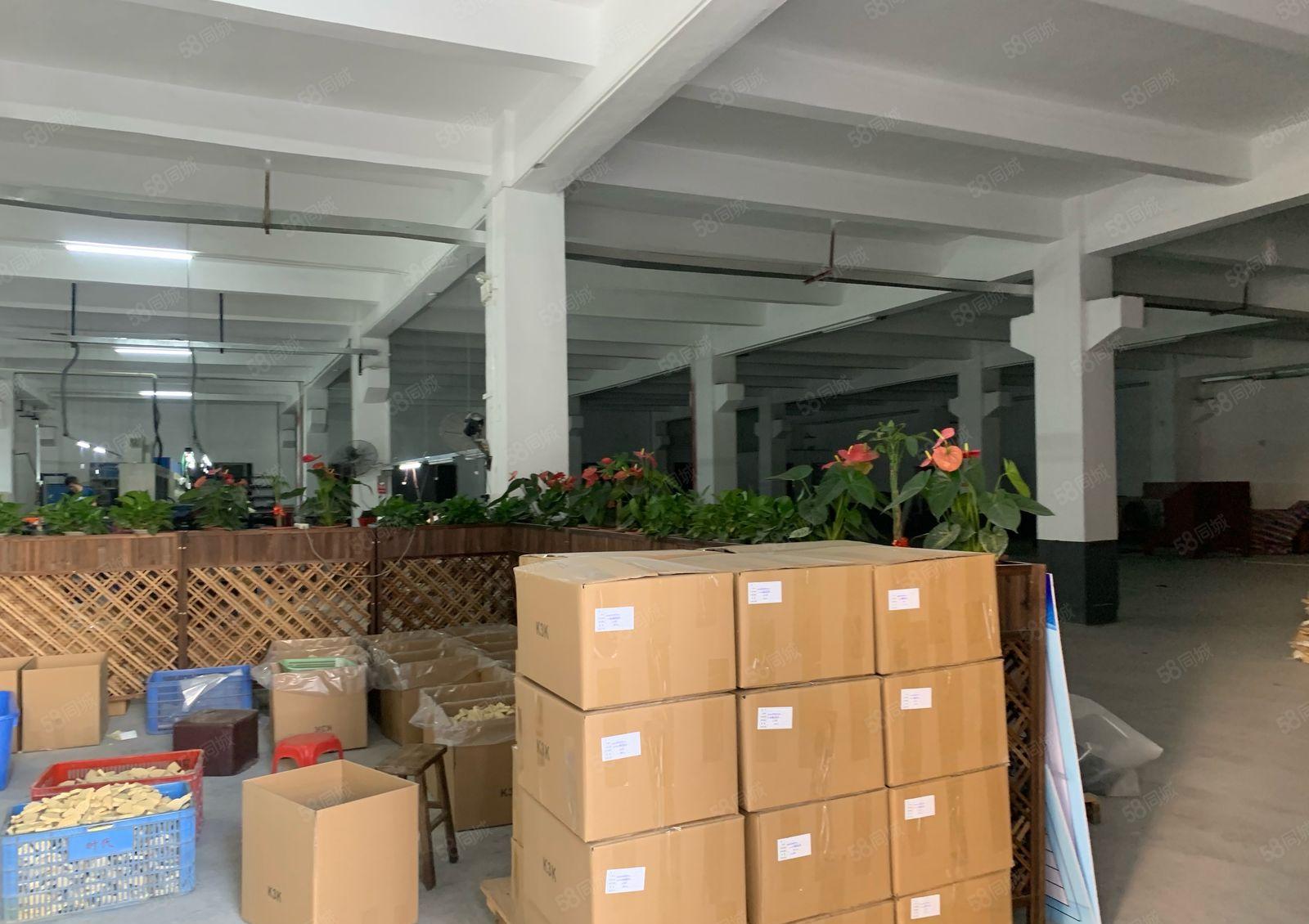 厚街工业园区一楼精装修800平方厂房仓库出租