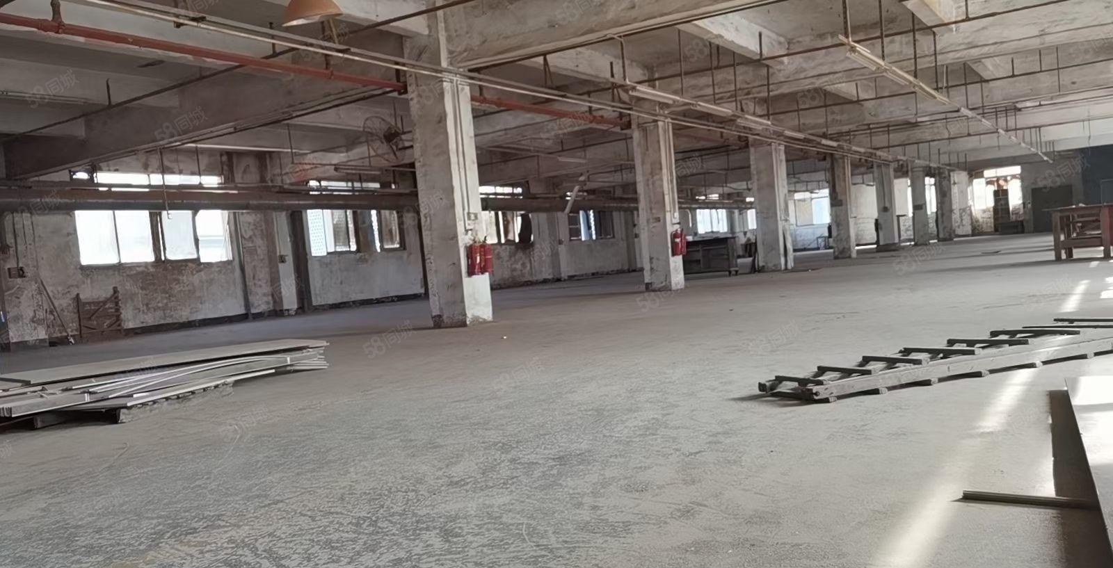 家具厂出租，现有环评，现有油房，底油，打磨抛光房间