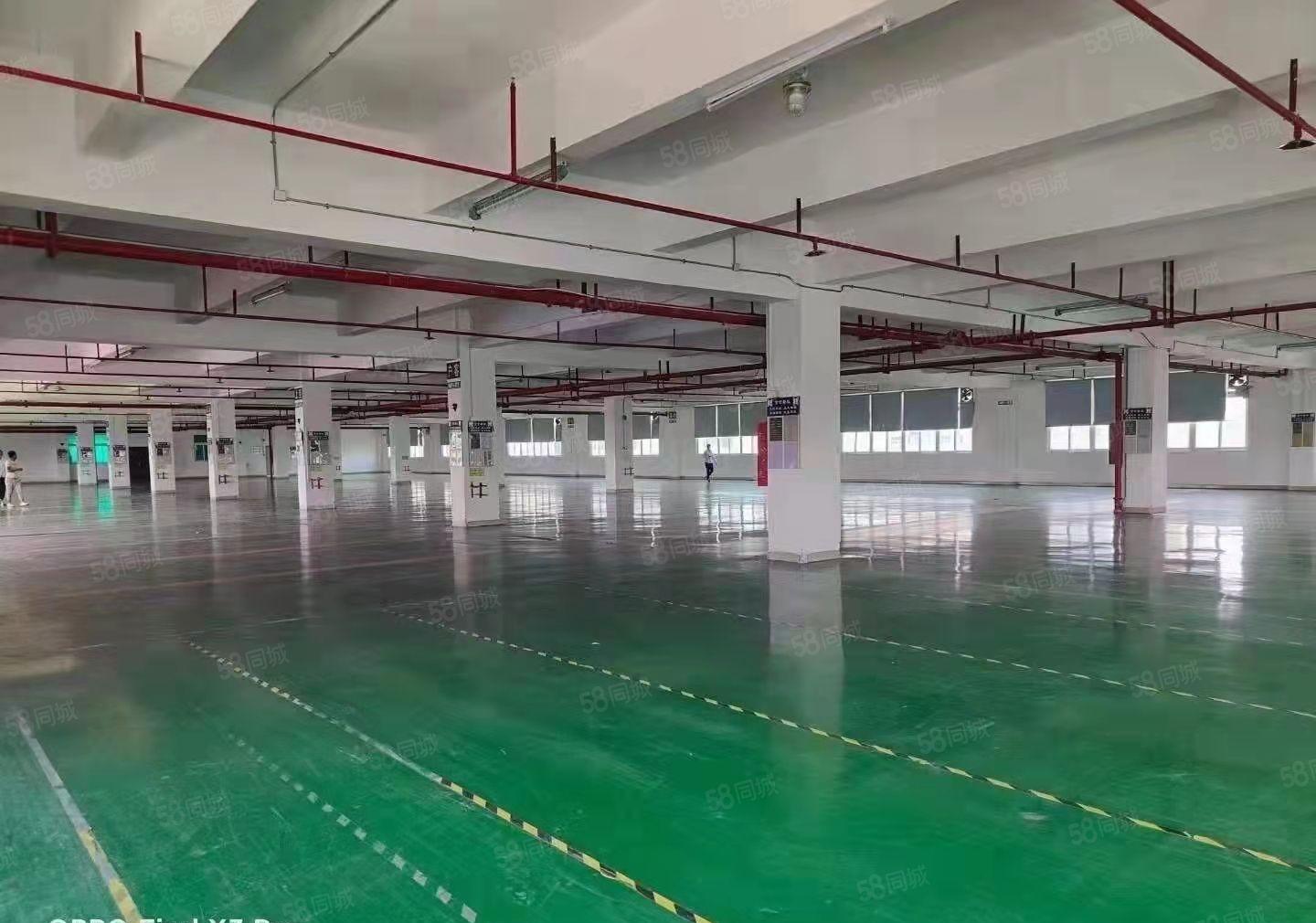 厚街新出独门独院厂房仓库出租4500平方大小可分租水电齐全