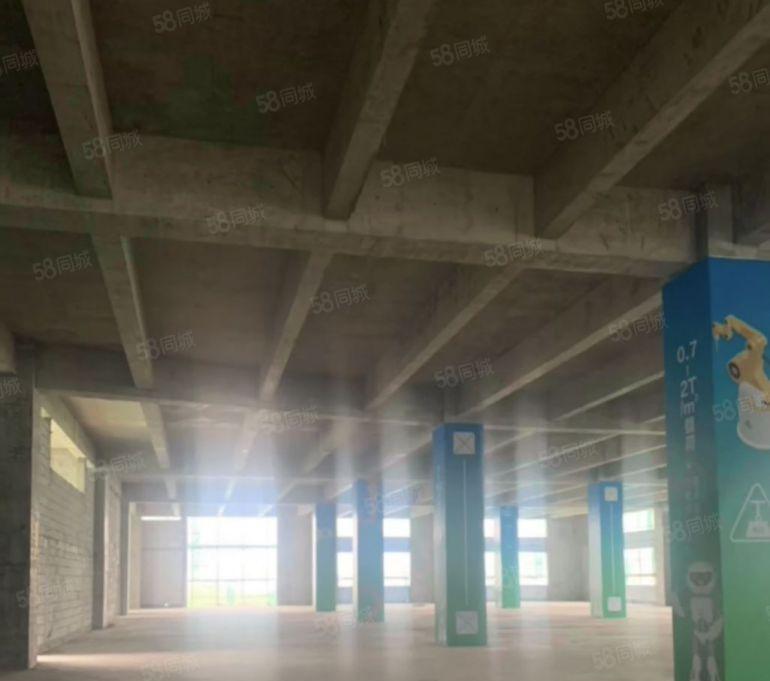 厚街全新高标厂房15起招商中含税随时可参观便利可环评