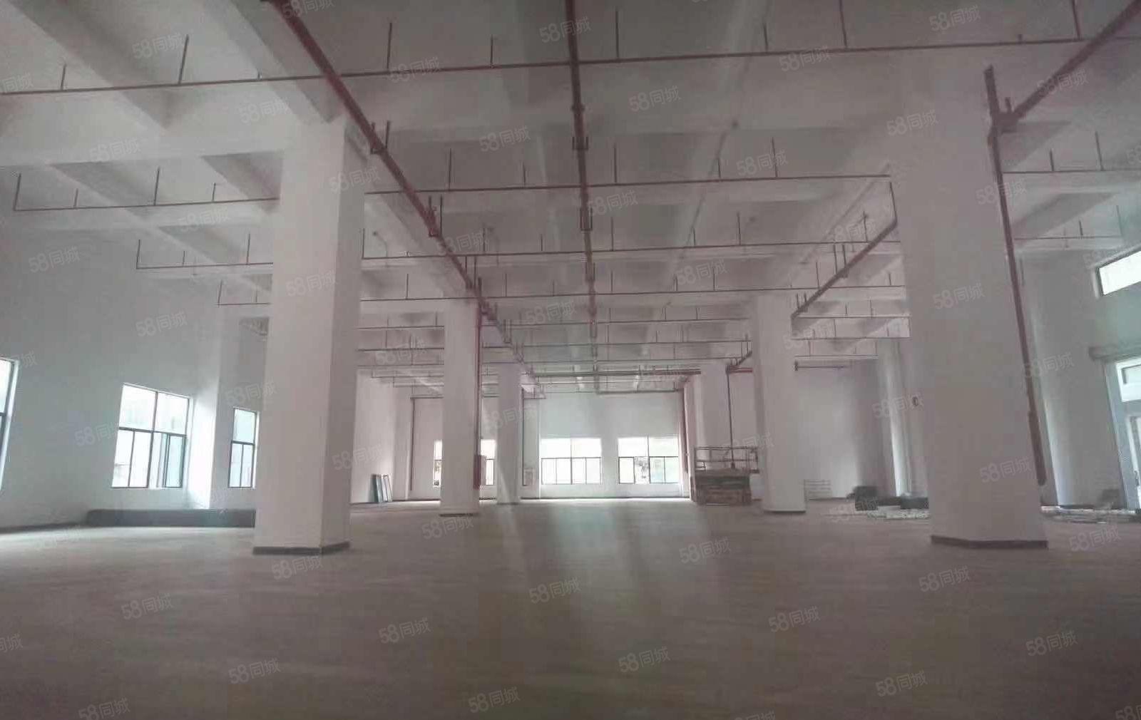 厚街全新独院重工业厂房 层高7米带牛角