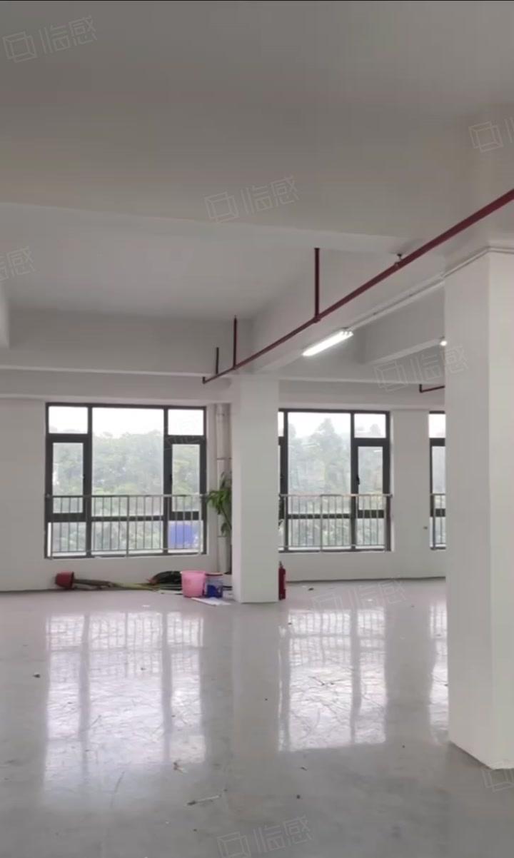 急租厚街实图（全新）独院2楼7500方厂房出租繁华好招工