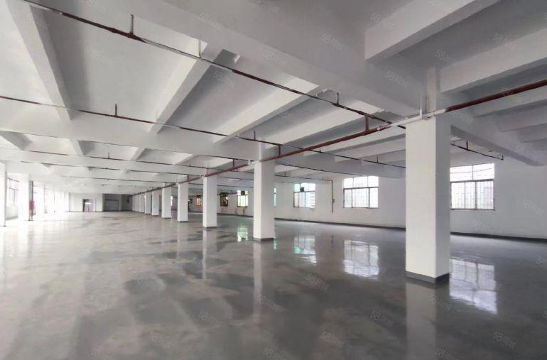 厚街镇原房东独门独院，标准厂房出租，大小可以分租