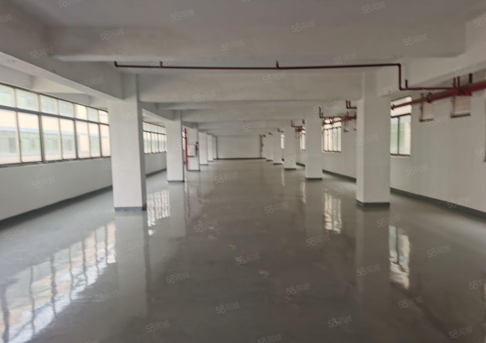 园区超大空地厂房低价出租