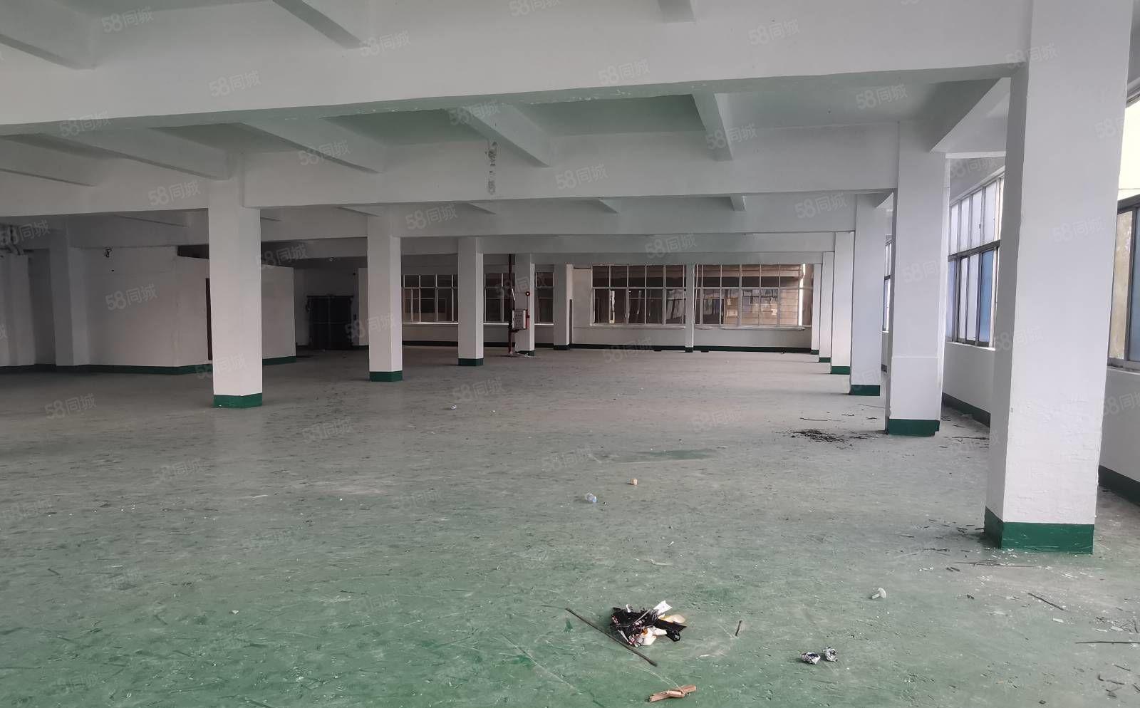 厚街自用独院厂房4480平招租，可办环评，实际面积出