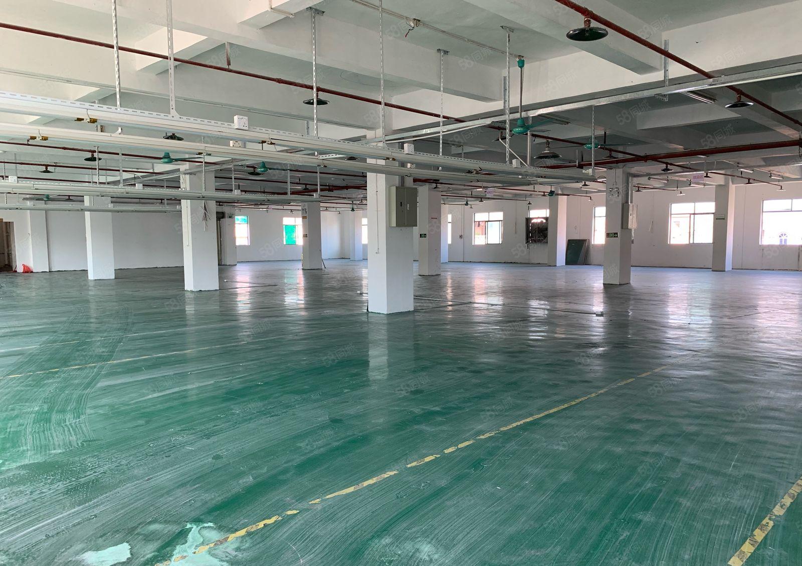 厚街原房东900平方实际面积厂房出租仓库出租水电办公室齐全