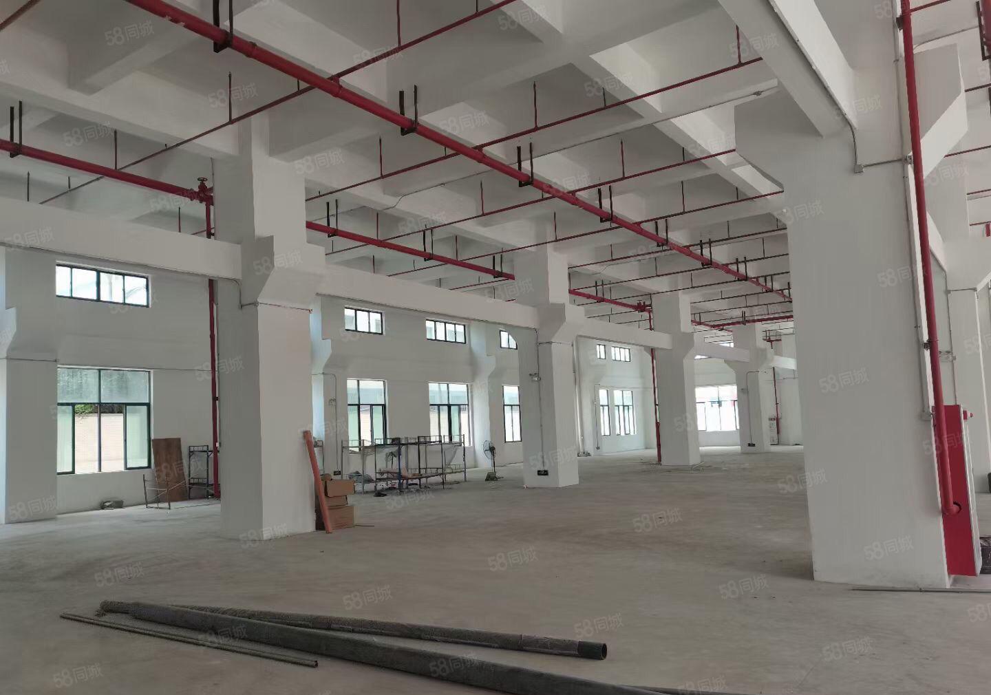 厚街新建厂房单层2800平方，一楼7米带牛角