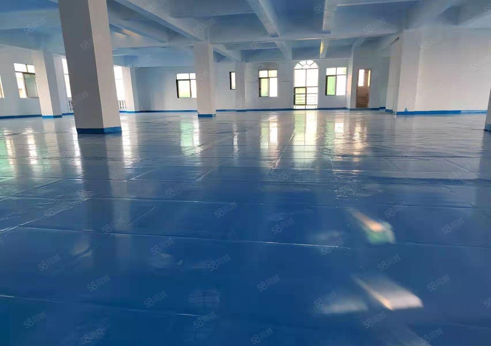 厚街镇西环路全新装修500平