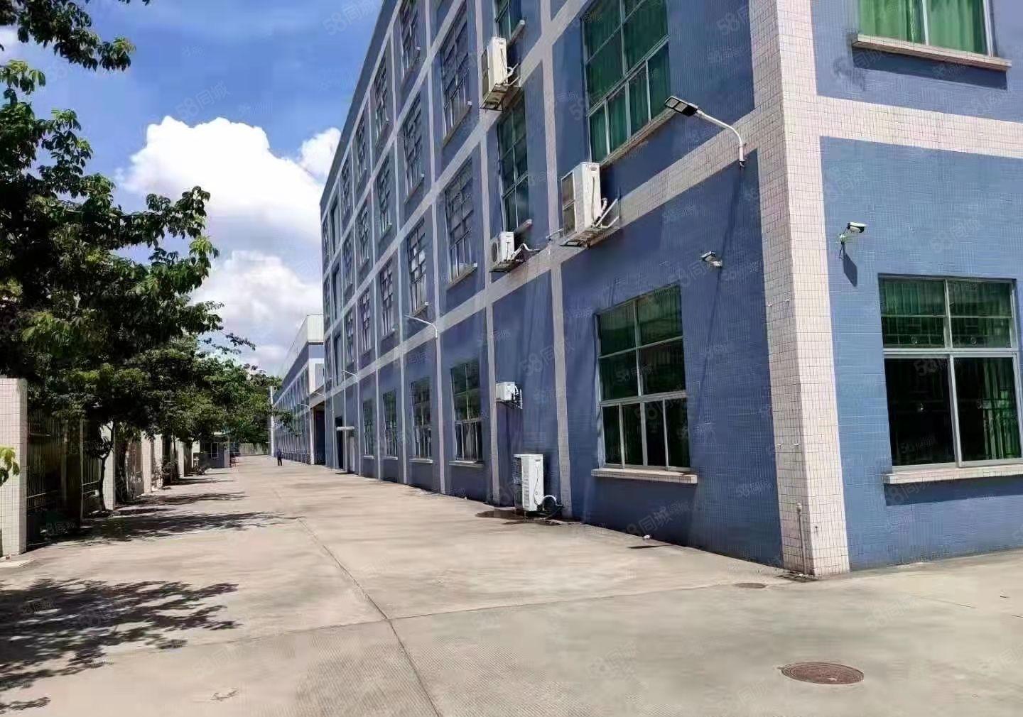 厚街花园式独门独院厂房仓库出租12000平方大小可分租带装修