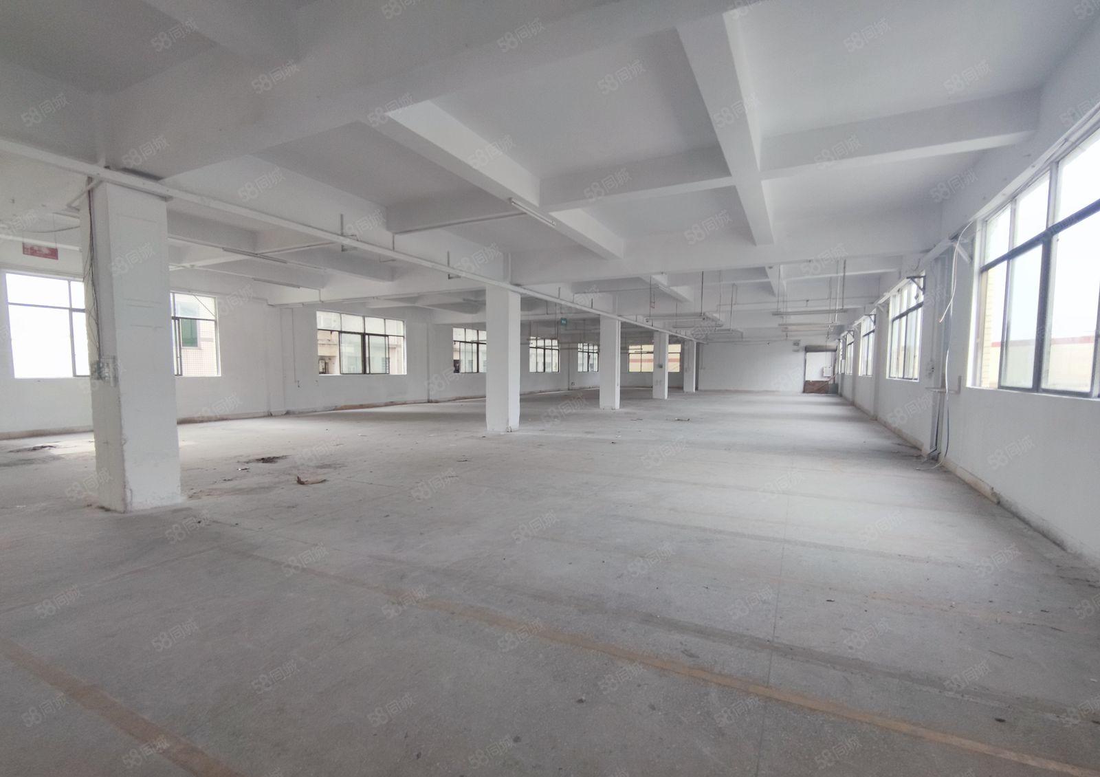 厚街镇高速出口附近原房东独门独院标准厂房出租4800平米