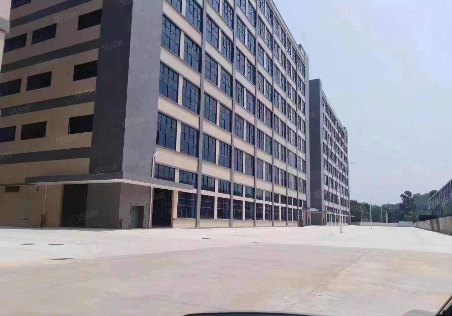 厚街全新独院工业厂房招租，证件齐全可办环评，超大空地