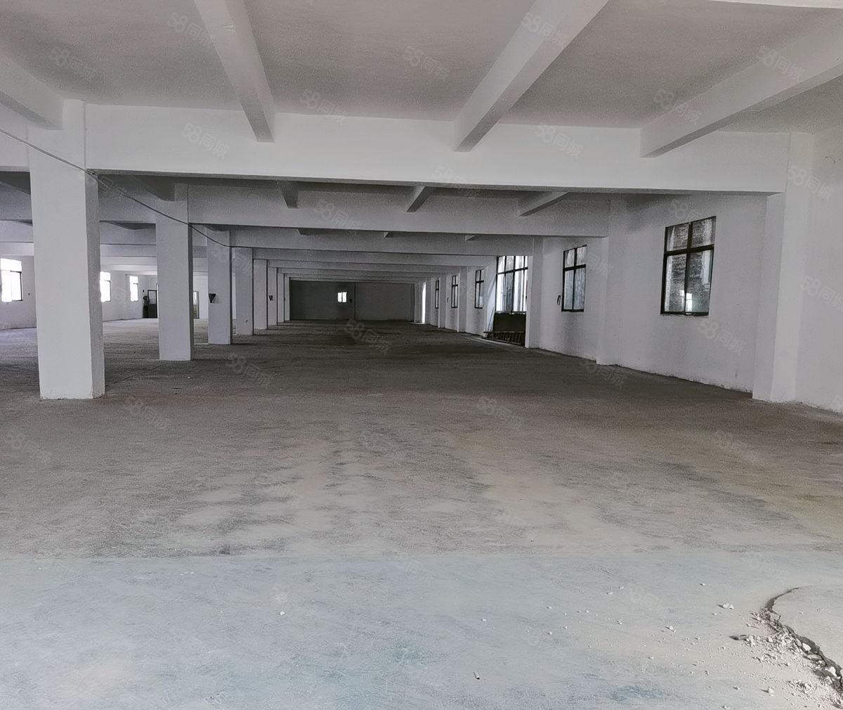 独门独院二层标准厂房可分，原房东直租，院子空地大，精装办公室