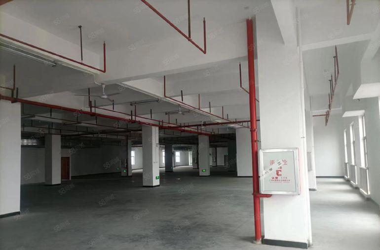 厚街下汴空出五楼2500平现成精装修水电齐全厂房出租仓库出租