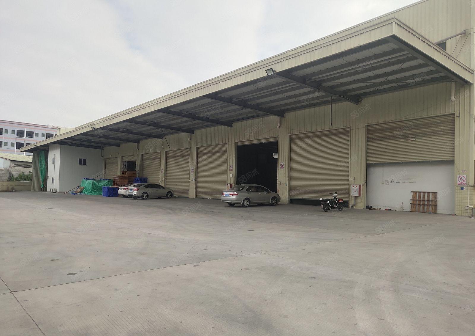 厚街溪头靠近白濠2700平单一层钢构厂房出租 滴水9米空地大