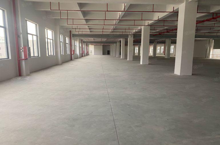 厚街镇3000平高新产业园红本厂房原房东易招工形象好空地大