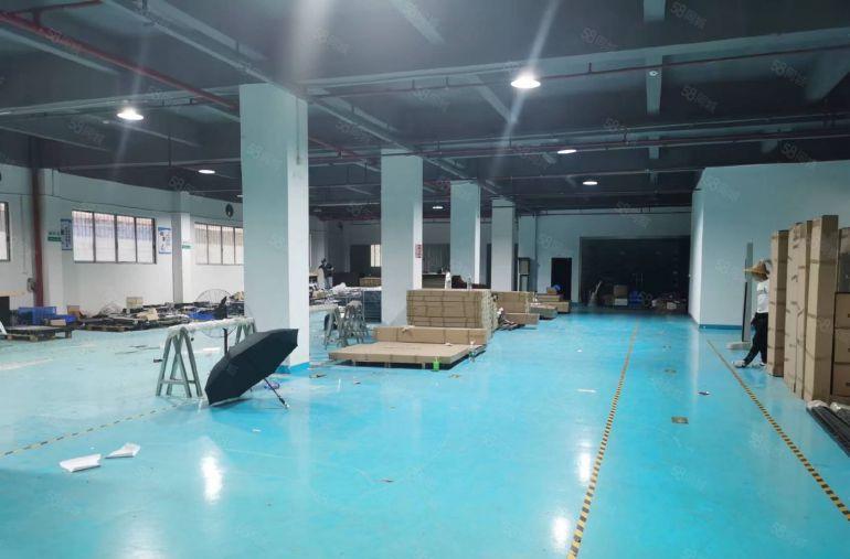 厚街新出原房东一楼厂房1500平方精装修厂房高度6.5米