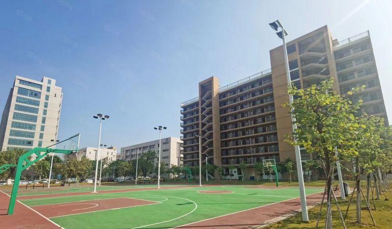 （厚街原房东园区享政府补贴）单层2247方，免租5个月