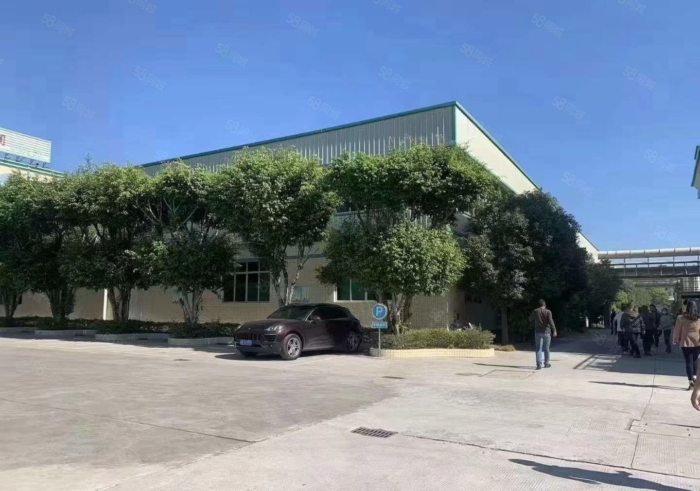 厚街推出钢构和标准厂房2000平，环境好！价格低！