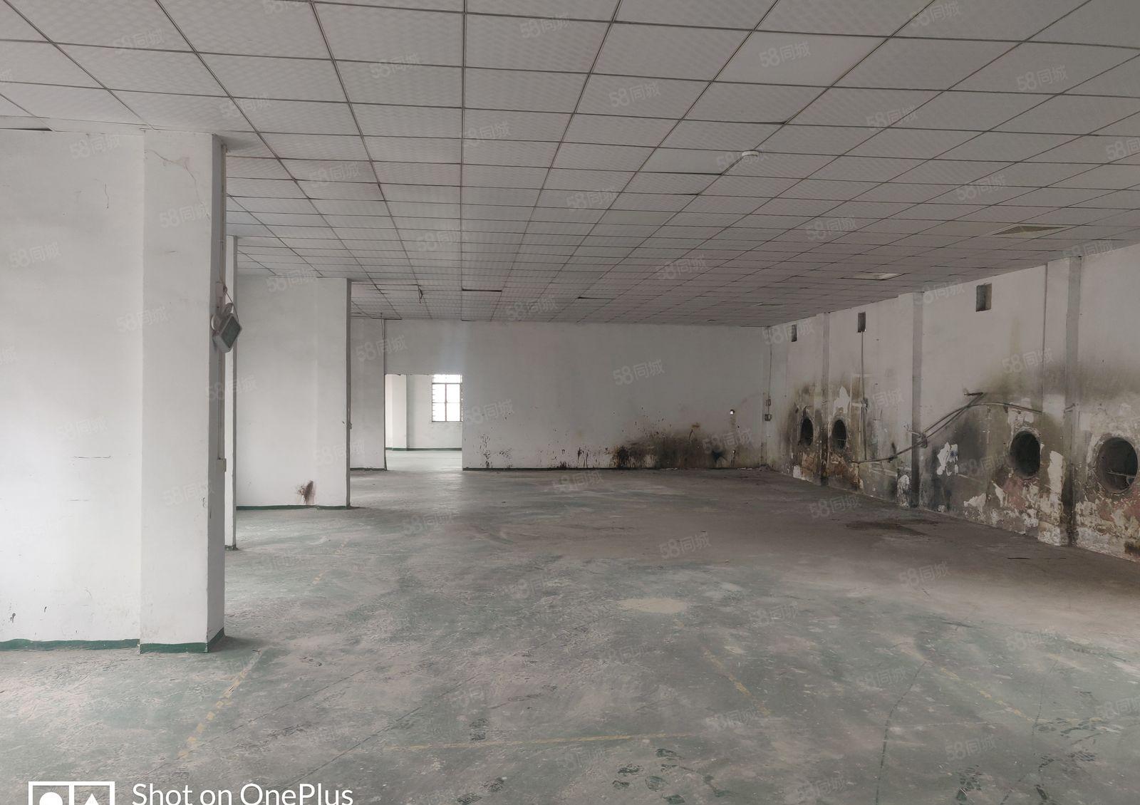 厚街桥头新出厂房，适合各行各业，能进大车，水电齐全，无柱子