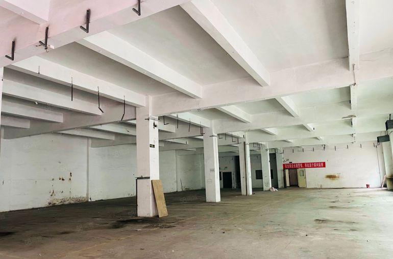 （厚街原房东独门独院出租）2层3000平米标准厂房出租