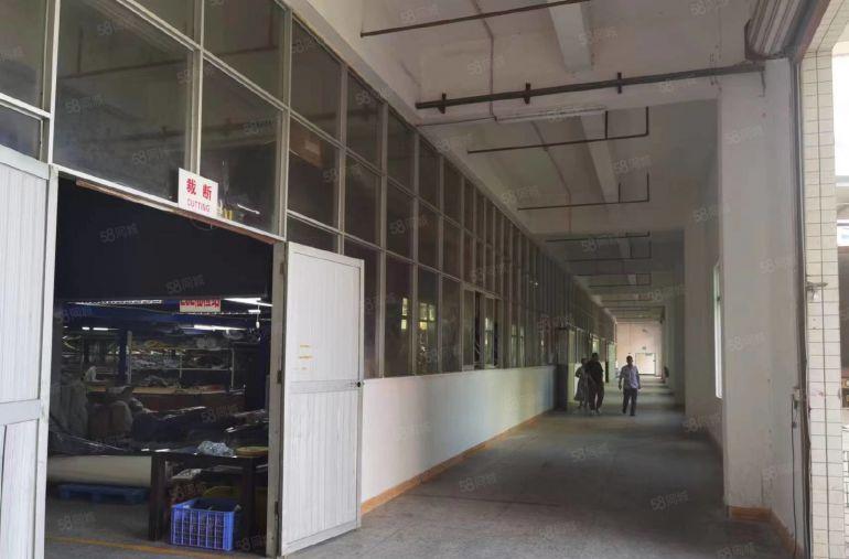 厚街白濠园区新出工业用地标准一楼2500平现成装修可办环评