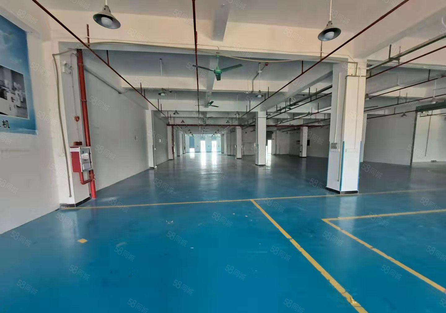 白濠新出标准厂房一楼1000平精装修现成水电厂房出租仓库出租